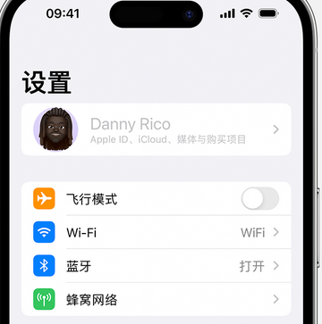 江城appleID维修服务iPhone设置中Apple ID显示为灰色无法使用 