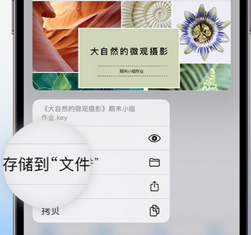 江城apple维修中心分享iPhone文件应用中存储和找到下载文件