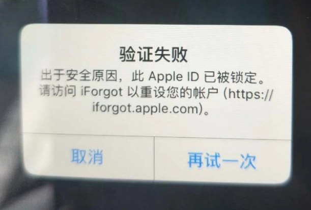 江城iPhone维修分享iPhone上正常登录或使用AppleID怎么办 