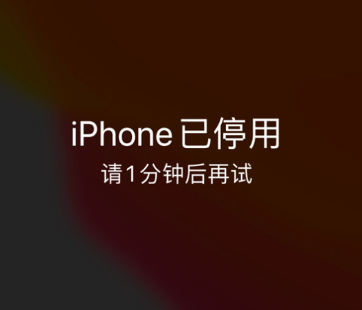 江城苹果手机维修分享:iPhone 显示“不可用”或“已停用”怎么办？还能保留数据吗？ 