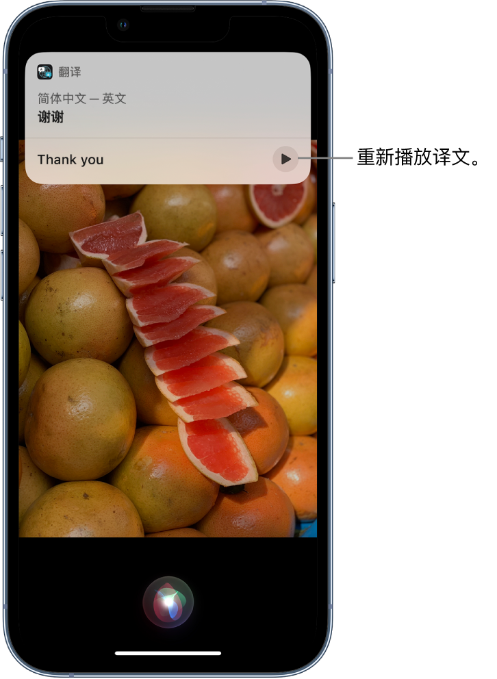 江城苹果14维修分享 iPhone 14 机型中使用 Siri：了解 Siri 能帮你做什么 