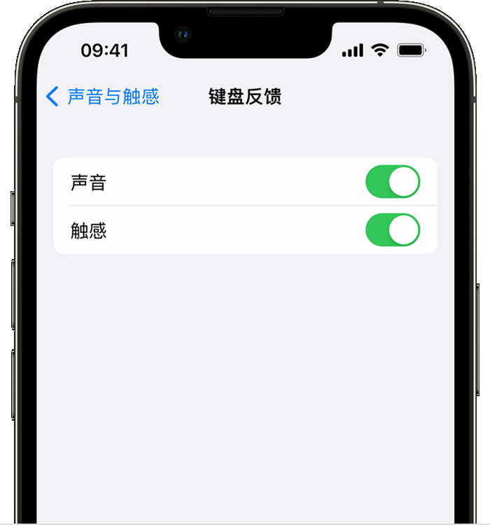 江城苹果14维修分享iPhone 14 系列机型如何开启键盘声音或触感反馈 