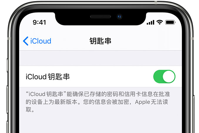 江城苹果手机维修分享在 iPhone 上开启 iCloud 钥匙串之后会储存哪些信息 