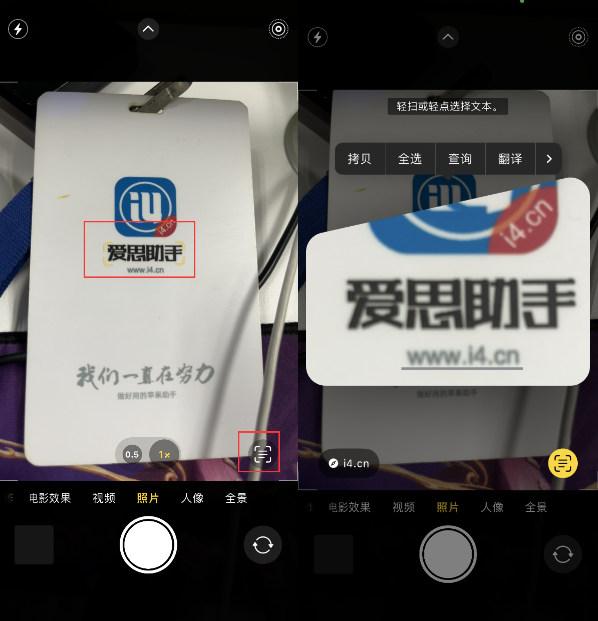 江城苹果手机维修分享升级iOS 16后如何通过相机翻译文本 