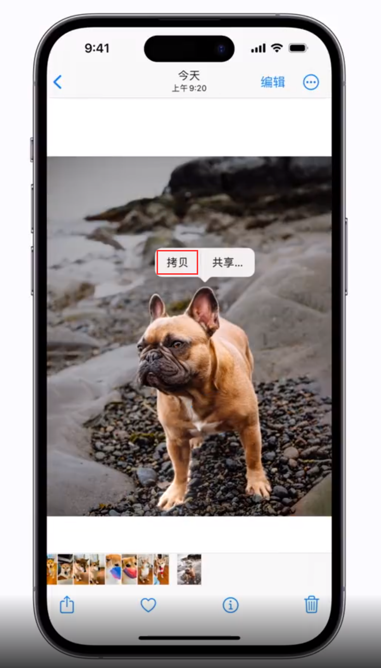 江城苹果手机维修分享 iOS 16 自带一键抠图功能 