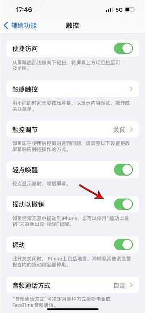 江城苹果手机维修分享iPhone手机如何设置摇一摇删除文字 