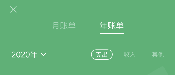 江城苹果手机维修分享如何在 iPhone 上查看支付宝和微信年支出账单 